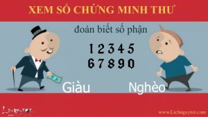 Chứng minh nhân dân trong Tiếng Anh là gì?