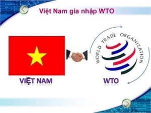 Việt Nam gia nhập WTO năm nào thuận lợi và khó khăn?