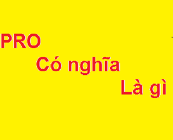 PRO là gì? Viết tắt của từ gì và có ý nghĩa như thế nào