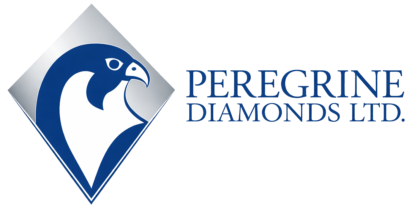 logo pdiam