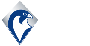 logo pdian white