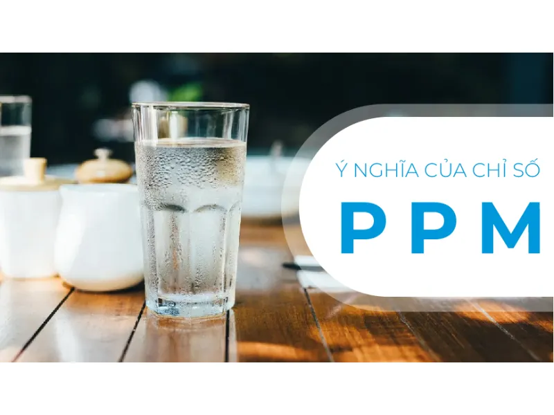 khái niệm file ppm