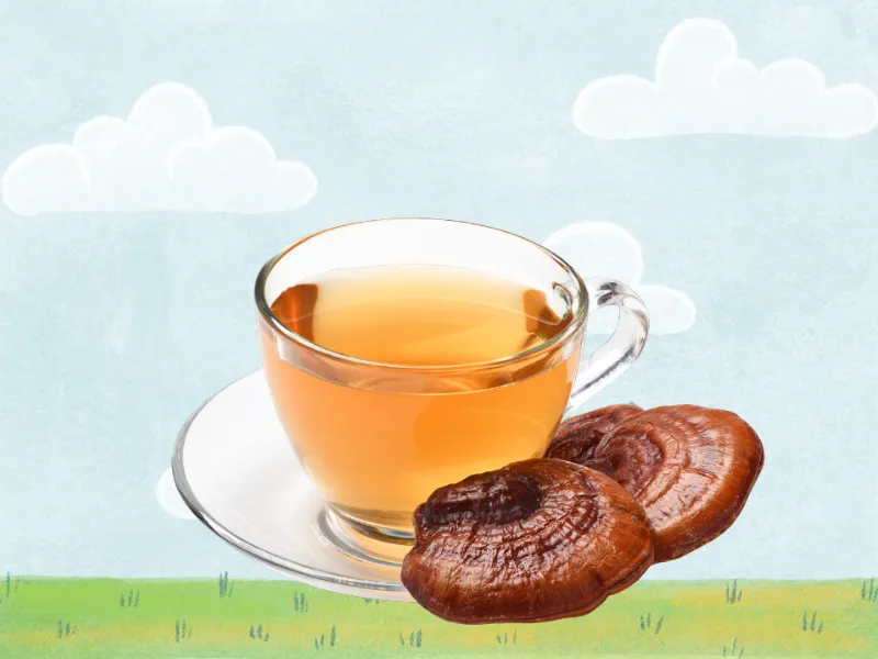 Tác dụng của trà linh chi thế nào