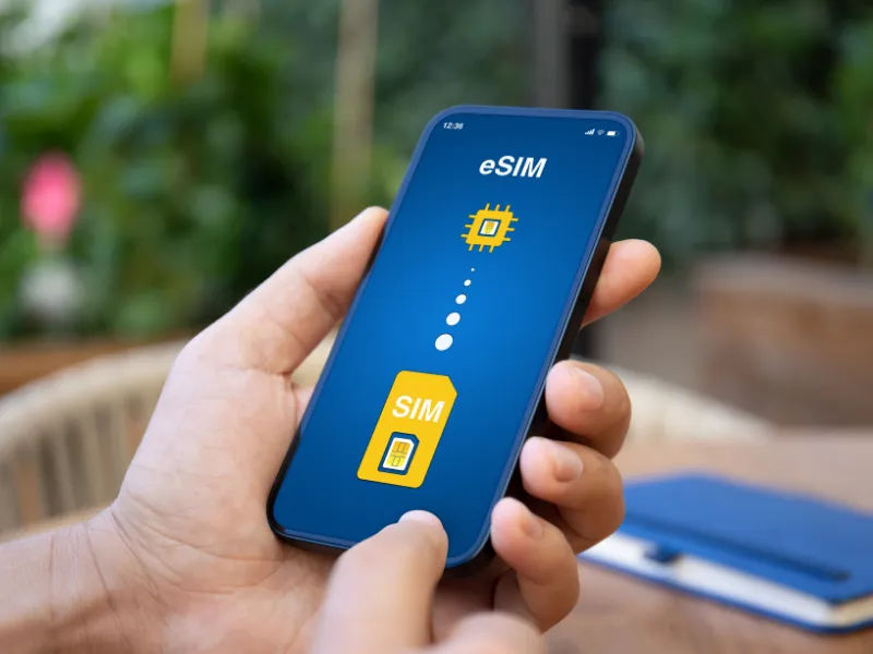 Xem sim hợp tuổi 1989 xuất phát từ bản mệnh người dùng