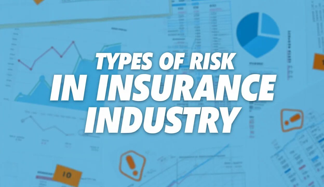 Types of risk in insurance industry thumbnail