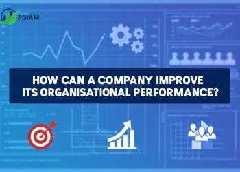 How can a company improve its organisational performance?