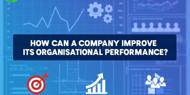 How can a company improve its organisational performance?