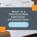 What is a Professional Employee organization? 30+ Key Benefits